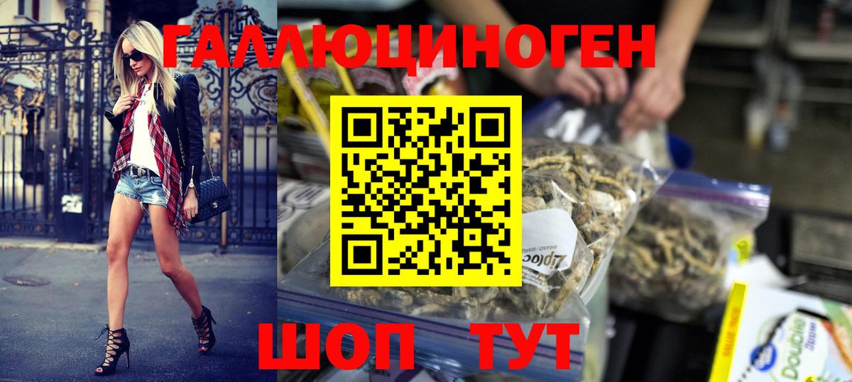 Галлюциногенные грибы GOLDEN TEACHER Кореновск